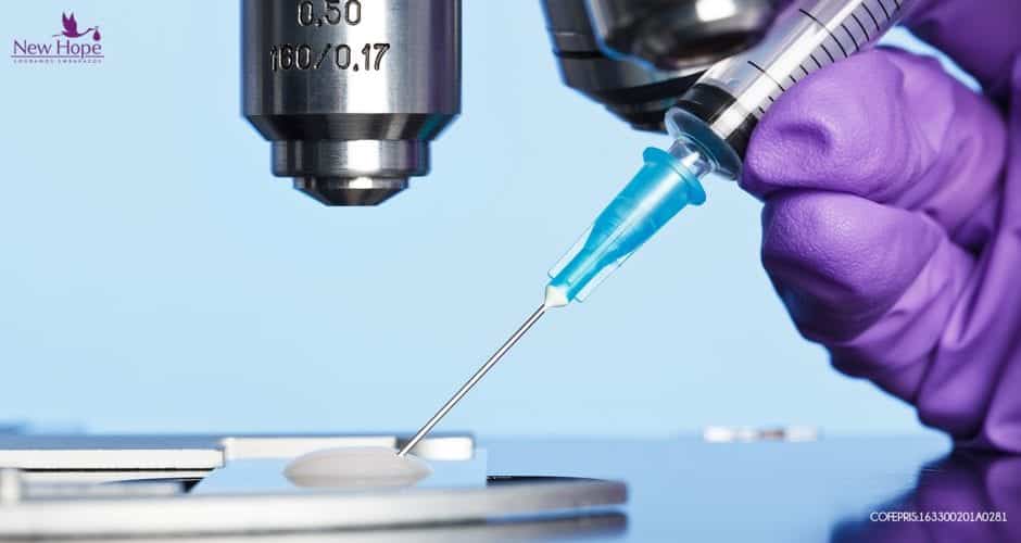 Fertilización In Vitro Ciclo Natural