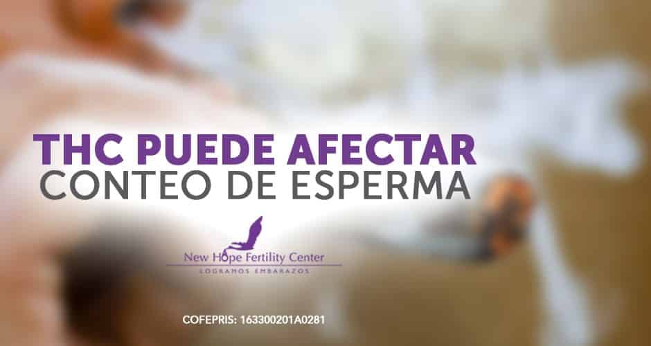 Uso recreativo de la mariguana afecta fertilidad en los hombres: estudio