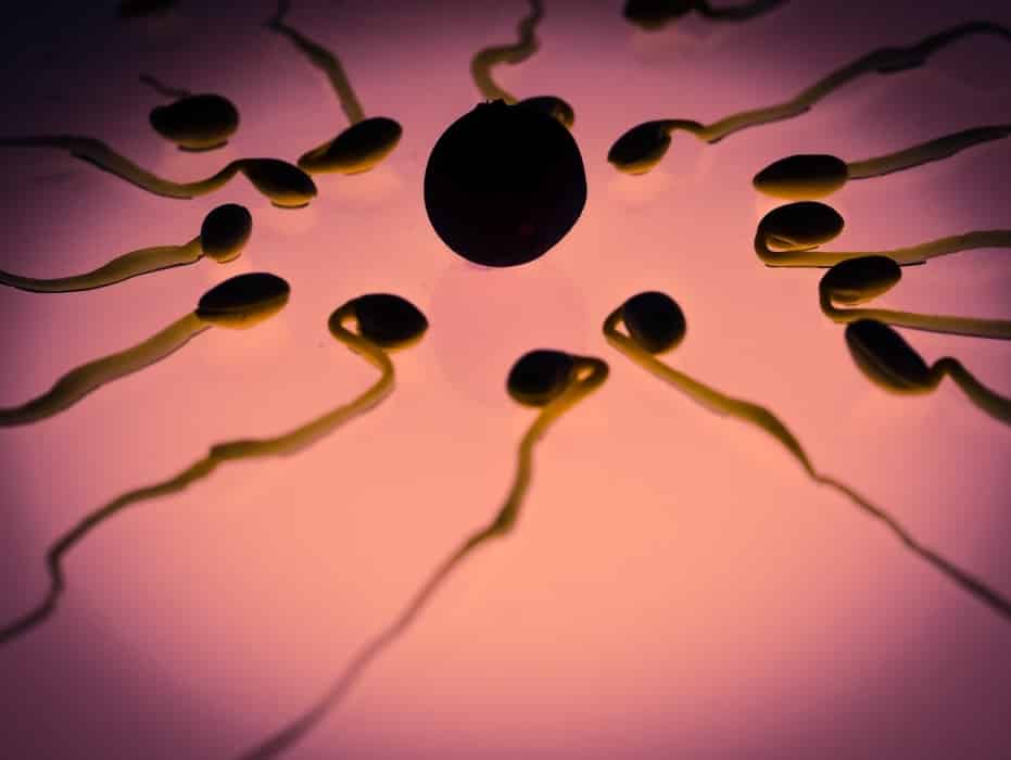 ¿Sabes qué es un seminograma y para qué nos sirve?