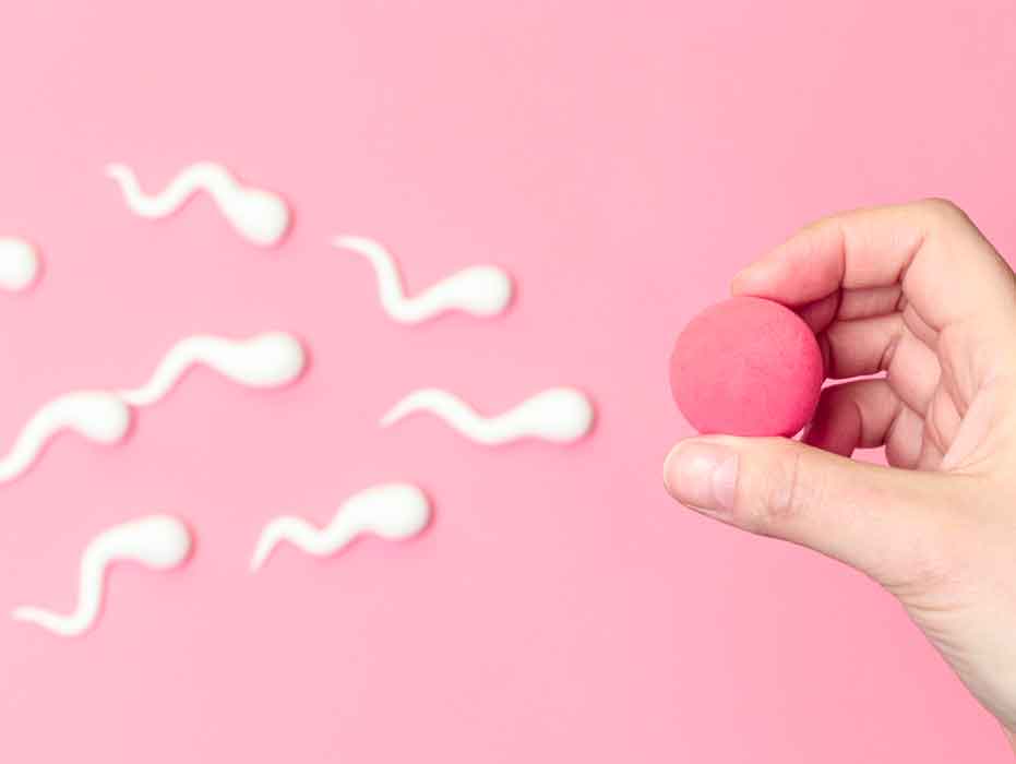 ¿Cómo se hace una inseminación artificial?