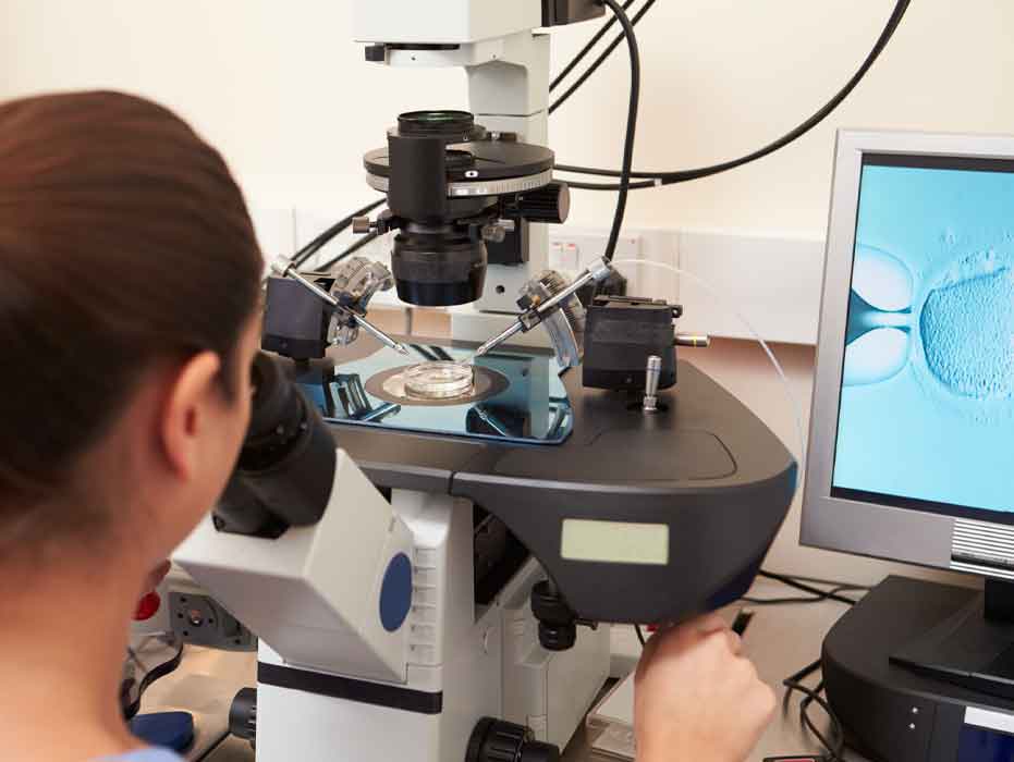 ¿Qué tratamientos ofrecen las mejores clínicas de fertilidad en México?